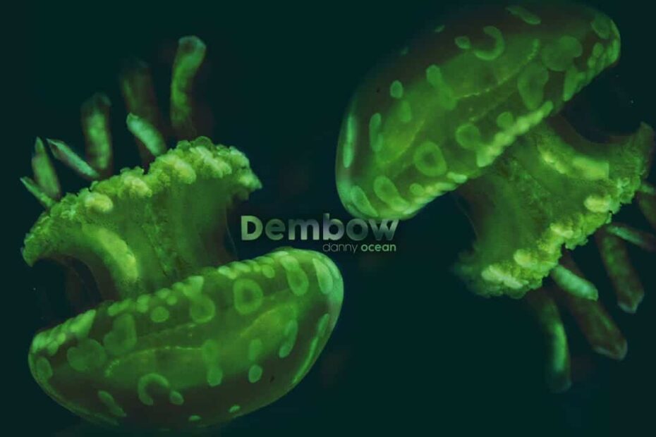 Danny Ocean - Dembow (Official Video)